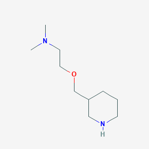 molecular formula C10H22N2O B1486721 N,N-Dimethyl-2-(3-piperidinylmethoxy)-1-ethanamine CAS No. 946786-99-8