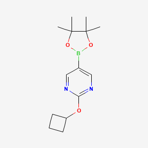 molecular formula C14H21BN2O3 B14868717 2-Cyclobutoxy-5-(4,4,5,5-tetramethyl-1,3,2-dioxaborolan-2-yl)pyrimidine 