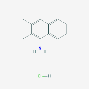 molecular formula C12H14ClN B1486909 (2,3-Dimethyl-1-naphthyl)amine CAS No. 81824-67-1
