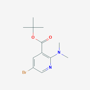 molecular formula C12H17BrN2O2 B1486947 5-Bromo-2-dimethylamino-nicotinic acid tert-butyl ester CAS No. 2206609-32-5