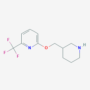 molecular formula C12H15F3N2O B14869777 2-(Piperidin-3-ylmethoxy)-6-(trifluoromethyl)pyridine 