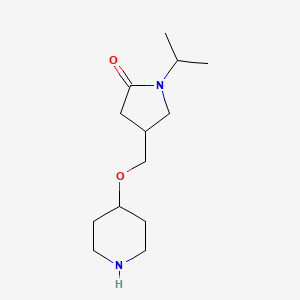 molecular formula C13H24N2O2 B14870263 1-Isopropyl-4-((piperidin-4-yloxy)methyl)pyrrolidin-2-one 