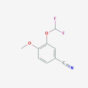 molecular formula C9H7F2NO2 B14871547 3-(Difluoromethoxy)-4-methoxybenzonitrile 