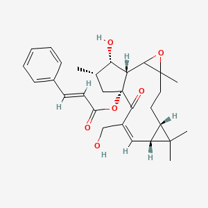 molecular formula C29H36O6 B14872192 [(1R,7S,9R,10Z,13R,15S,16S)-16-hydroxy-11-(hydroxymethyl)-4,8,8,15-tetramethyl-12-oxo-3-oxatetracyclo[11.3.0.02,4.07,9]hexadec-10-en-13-yl] (E)-3-phenylprop-2-enoate 