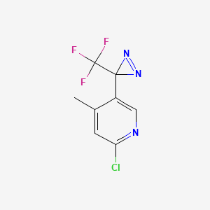 molecular formula C8H5ClF3N3 B1487242 2-Chloro-5-(3-(trifluoromethyl)-3H-diazirin-3-yl)-4-methylpyridine CAS No. 2231674-84-1