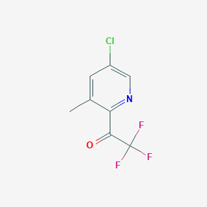 molecular formula C8H5ClF3NO B1487269 1-(5-Chloro-3-methylpyridin-2-yl)-2,2,2-trifluoroethanone CAS No. 2231676-64-3