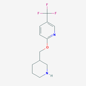 2-(Piperidin-3-ylmethoxy)-5-(trifluoromethyl)pyridine