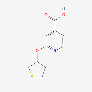 2-((Tetrahydrothiophen-3-yl)oxy)isonicotinic acid