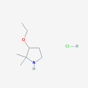 molecular formula C8H18ClNO B1487335 3-Ethoxy-2,2-dimethylpyrrolidine hydrochloride CAS No. 2208785-48-0