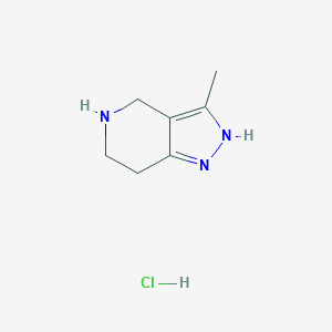 B1487392 3-Methyl-4,5,6,7-tetrahydro-1H-pyrazolo[4,3-c]pyridine hydrochloride CAS No. 733757-76-1