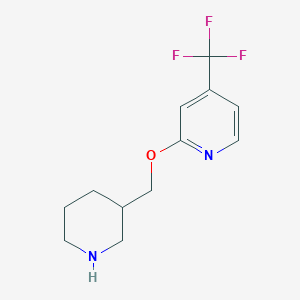 2-(Piperidin-3-ylmethoxy)-4-(trifluoromethyl)pyridine