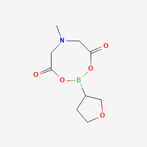 6-Methyl-2-tetrahydrofuran-3-yl-1,3,6,2-dioxazaborocane-4,8-dione