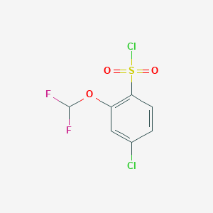 4-Chloro-2-(difluoromethoxy)benzene-1-sulfonyl chloride