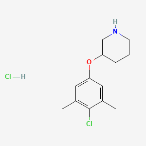 B1487500 3-(4-Chloro-3,5-dimethylphenoxy)piperidine hydrochloride CAS No. 1185302-79-7