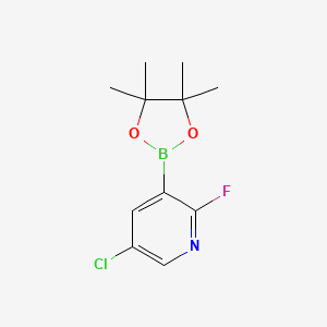 molecular formula C11H14BClFNO2 B1487578 5-Chloro-2-fluoro-3-(4,4,5,5-tetramethyl-1,3,2-dioxaborolan-2-yl)pyridine CAS No. 937595-72-7