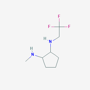 N1-methyl-N2-(2,2,2-trifluoroethyl)cyclopentane-1,2-diamine