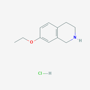molecular formula C11H16ClNO B1487600 7-乙氧基-1,2,3,4-四氢异喹啉盐酸盐 CAS No. 1221723-15-4