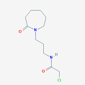 molecular formula C11H19ClN2O2 B1487692 2-氯-N-[3-(2-氧代氮杂环戊-1-基)丙基]乙酰胺 CAS No. 1306606-71-2