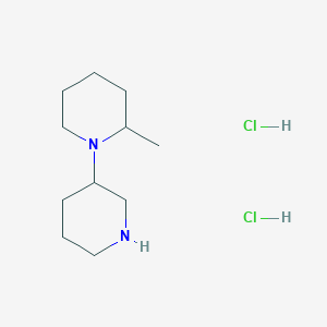 molecular formula C11H24Cl2N2 B1487782 3-(2-甲基-1-哌啶基)哌啶二盐酸盐 CAS No. 1220030-30-7