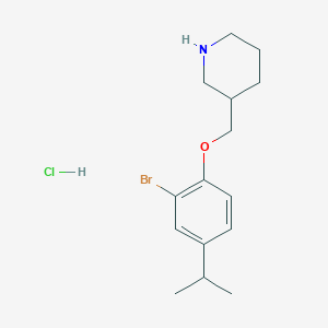 molecular formula C15H23BrClNO B1487839 3-[(2-Bromo-4-isopropylphenoxy)methyl]piperidine hydrochloride CAS No. 1219972-63-0