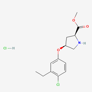 molecular formula C14H19Cl2NO3 B1487840 Methyl (2S,4S)-4-(4-chloro-3-ethylphenoxy)-2-pyrrolidinecarboxylate hydrochloride CAS No. 1354488-47-3