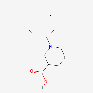molecular formula C14H25NO2 B1487867 1-环辛基哌啶-3-羧酸 CAS No. 1485452-02-5