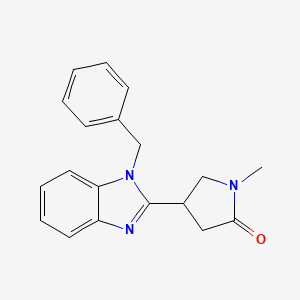 molecular formula C19H19N3O B14879197 4-(1-benzyl-1H-benzimidazol-2-yl)-1-methylpyrrolidin-2-one 