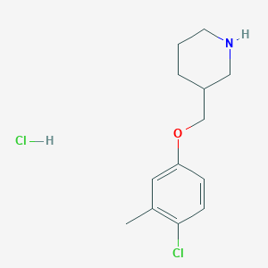 B1487983 4-Chloro-3-methylphenyl 3-piperidinylmethyl ether hydrochloride CAS No. 1220018-94-9