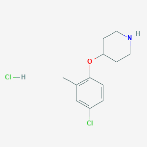 molecular formula C12H17Cl2NO B1487998 4-(4-Chloro-2-methylphenoxy)piperidine hydrochloride CAS No. 921204-98-0