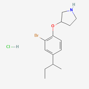 molecular formula C14H21BrClNO B1488009 3-[2-溴-4-(仲丁基)苯氧基]吡咯烷盐酸盐 CAS No. 1219972-45-8