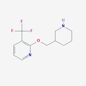 2-(Piperidin-3-ylmethoxy)-3-(trifluoromethyl)pyridine