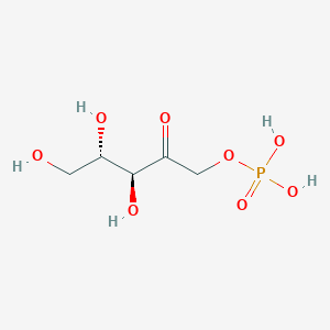 molecular formula C5H11O8P B14883015 L-Ribulose 1-Phosphate CAS No. 1807534-52-6