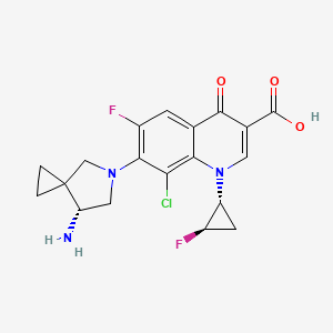 molecular formula C19H18ClF2N3O3 B14886217 7-((R)-7-Amino-5-azaspiro[2.4]heptan-5-yl)-8-chloro-6-fluoro-1-((1R,2R)-2-fluorocyclopropyl)-4-oxo-1,4-dihydroquinoline-3-carboxylic acid 