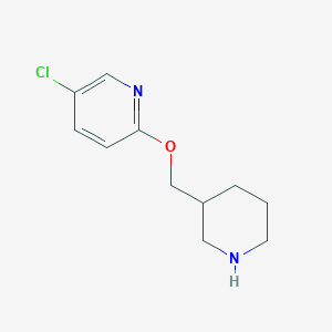 molecular formula C11H15ClN2O B1488755 5-Chloro-2-(piperidin-3-ylmethoxy)pyridine CAS No. 1248481-95-9