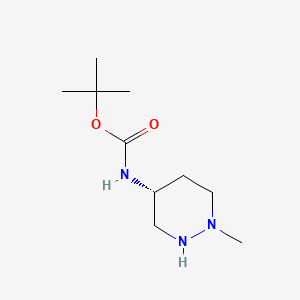 molecular formula C10H21N3O2 B14887666 (R)-tert-Butyl (1-methylhexahydropyridazin-4-yl)carbamate 