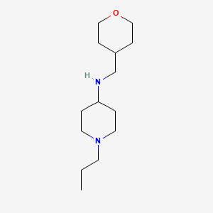N-[(oxan-4-yl)methyl]-1-propylpiperidin-4-amine