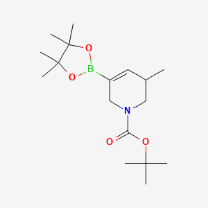 3-Methyl-1,2,3,6-tetrahydropyridine-5-boronic acid pinacol ester