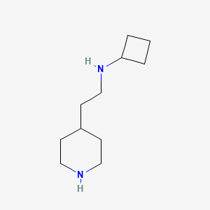 molecular formula C11H22N2 B1488872 N-[2-(piperidin-4-yl)ethyl]cyclobutanamine CAS No. 1247905-06-1