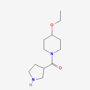 molecular formula C12H22N2O2 B1488894 4-Éthoxy-1-(pyrrolidine-3-carbonyl)pipéridine CAS No. 1339431-04-7