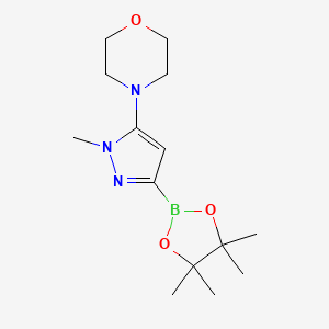 molecular formula C14H24BN3O3 B14889021 4-(1-Methyl-3-(4,4,5,5-tetramethyl-1,3,2-dioxaborolan-2-yl)-1H-pyrazol-5-yl)morpholine 