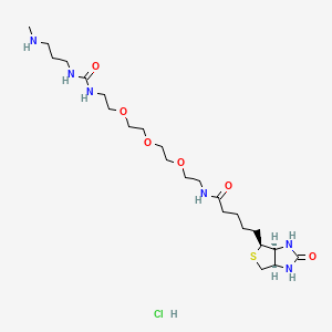 Biotin-PEG3-carbamide-propyl-NHMe (hydrochloride)