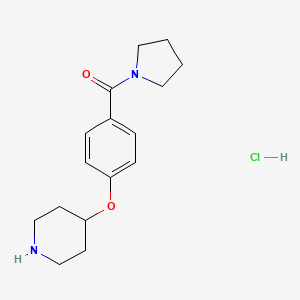 [4-(Piperidin-4-yloxy)-phenyl]-pyrrolidin-1-YL-methanone hydrochloride