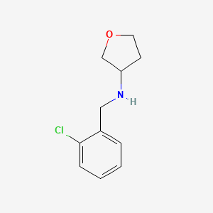 molecular formula C11H14ClNO B1489034 N-[(2-chlorophenyl)methyl]oxolan-3-amine CAS No. 1339502-83-8