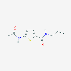 molecular formula C10H14N2O2S B14891536 5-acetamido-N-propylthiophene-2-carboxamide 