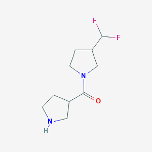 molecular formula C10H16F2N2O B1489202 (3-(Difluoromethyl)pyrrolidin-1-yl)(pyrrolidin-3-yl)methanone CAS No. 2097978-49-7