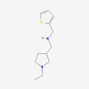 molecular formula C12H20N2S B14892689 1-(1-ethylpyrrolidin-3-yl)-N-(thiophen-2-ylmethyl)methanamine 