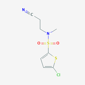 molecular formula C8H9ClN2O2S2 B14893109 5-chloro-N-(2-cyanoethyl)-N-methylthiophene-2-sulfonamide 