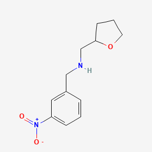 1-(3-nitrophenyl)-N-(tetrahydrofuran-2-ylmethyl)methanamine