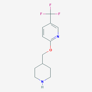 molecular formula C12H15F3N2O B1489345 2-(哌啶-4-基甲氧基)-5-(三氟甲基)吡啶 CAS No. 1220180-44-8