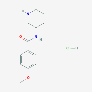 molecular formula C13H19ClN2O2 B14894005 4-Methoxy-N-(piperidin-3-yl)benzamide hydrochloride 